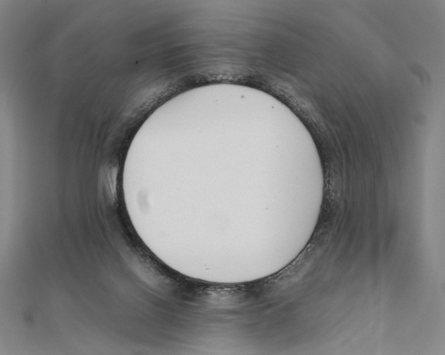 X0000111490070200908111233