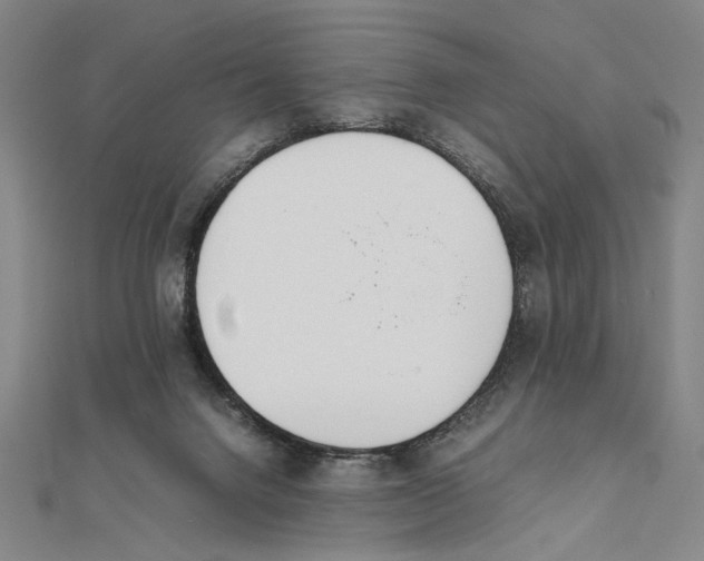 X0000111490072200908111233