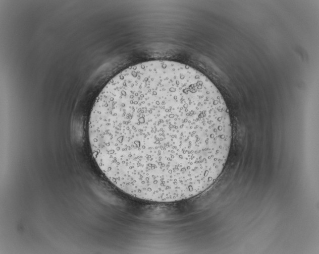 X0000111490074200908111233