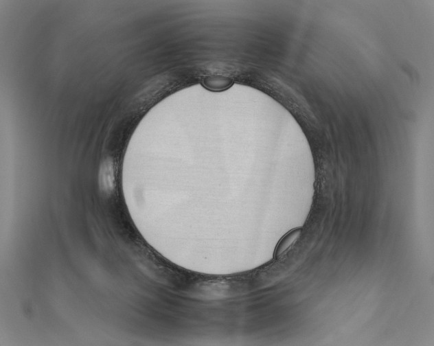 X0000111490075200908111233
