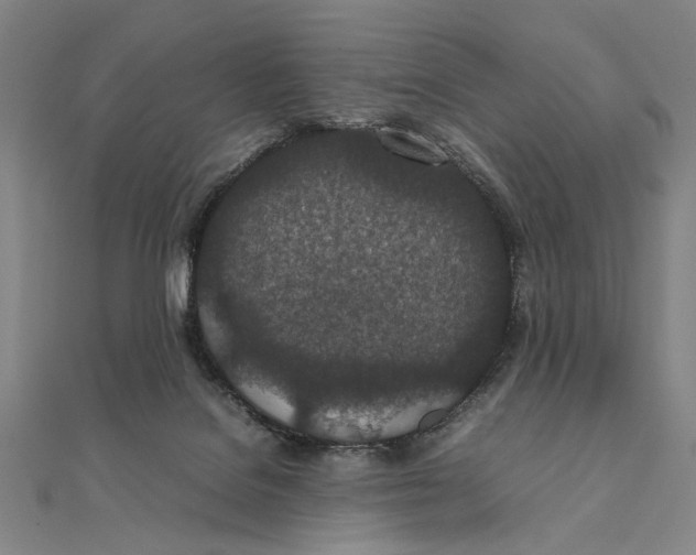 X0000111490076200908111233