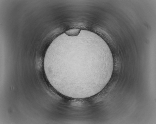X0000111490077200908111233