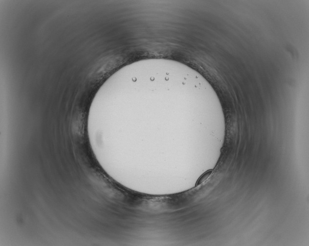 X0000111490078200908111233