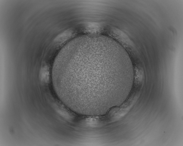 X0000111490080200908111233
