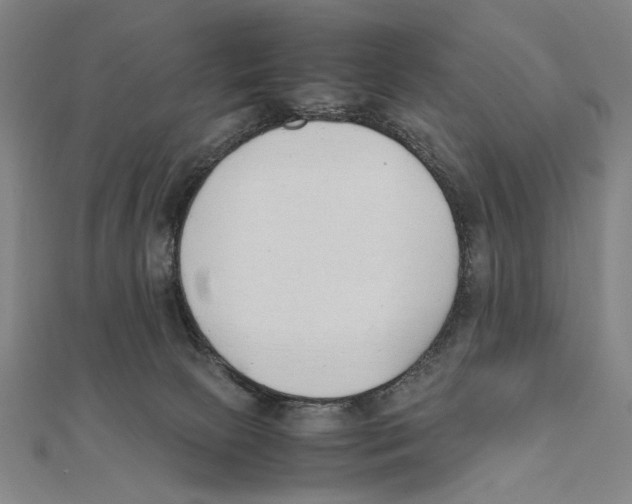 X0000111490081200908111233