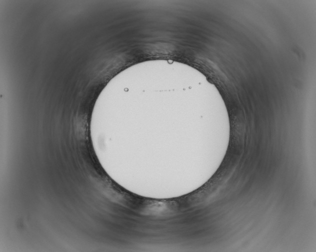 X0000111490083200908111233
