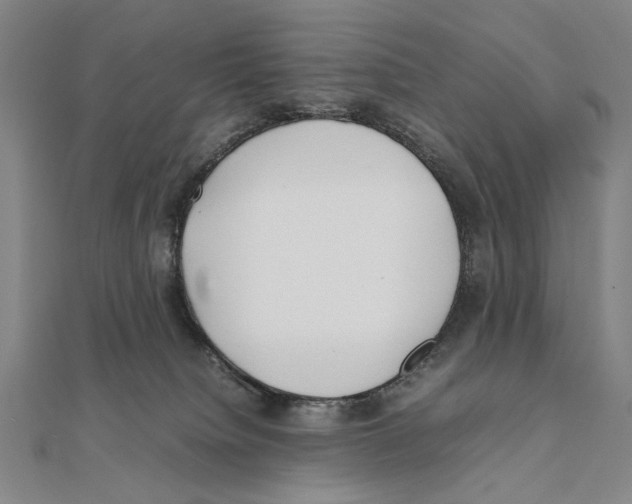 X0000111490084200908111233