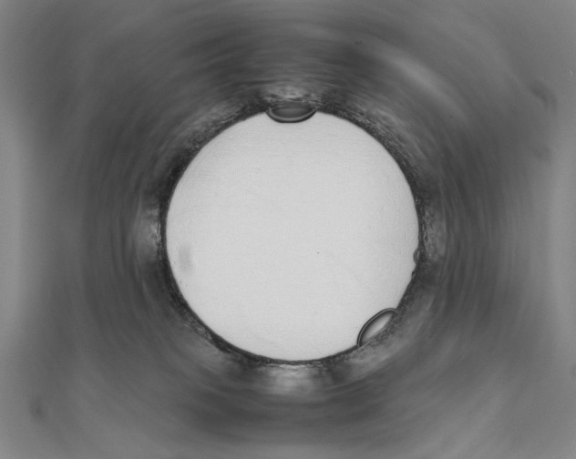 X0000111490085200908111233