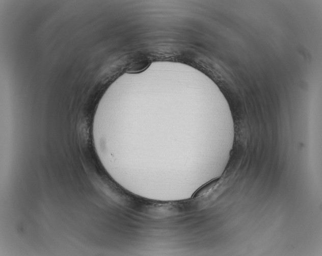 X0000111490086200908111233
