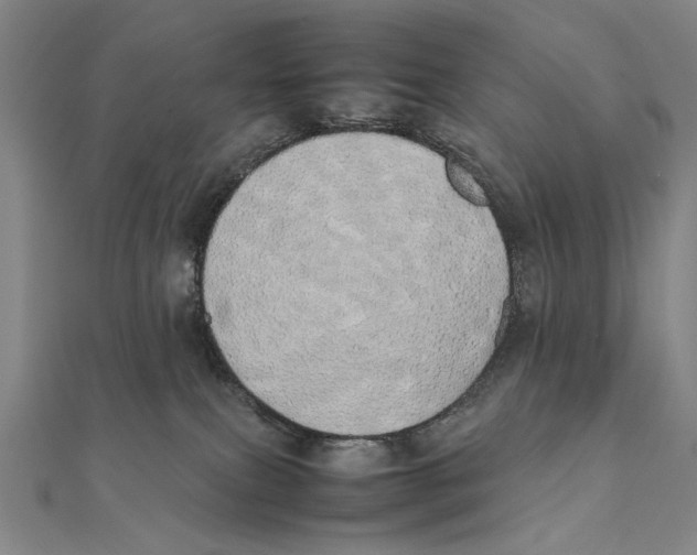 X0000111490087200908111234