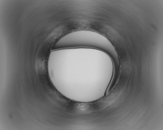 X0000111490088200908111234