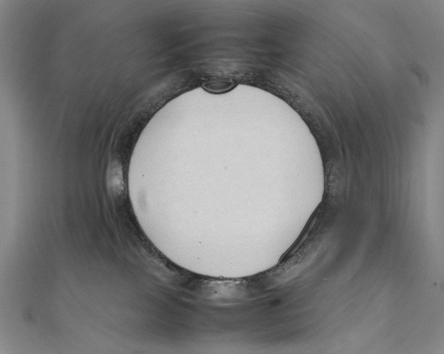 X0000111490089200908111234