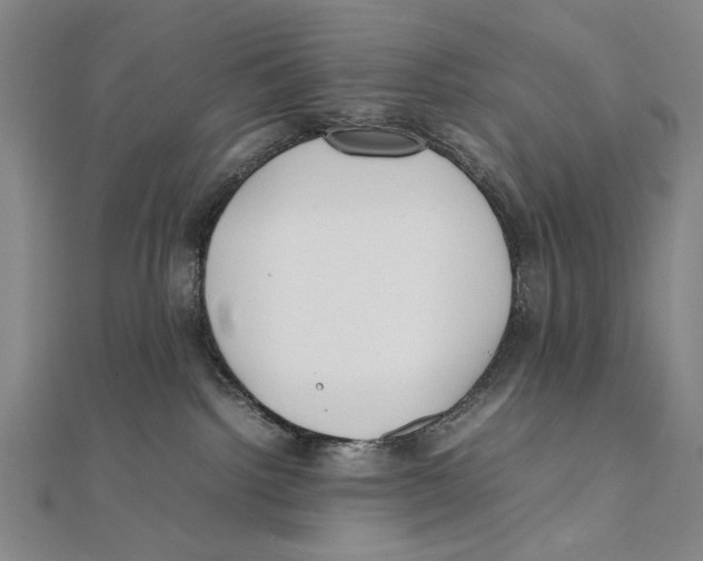 X0000111490092200908111234