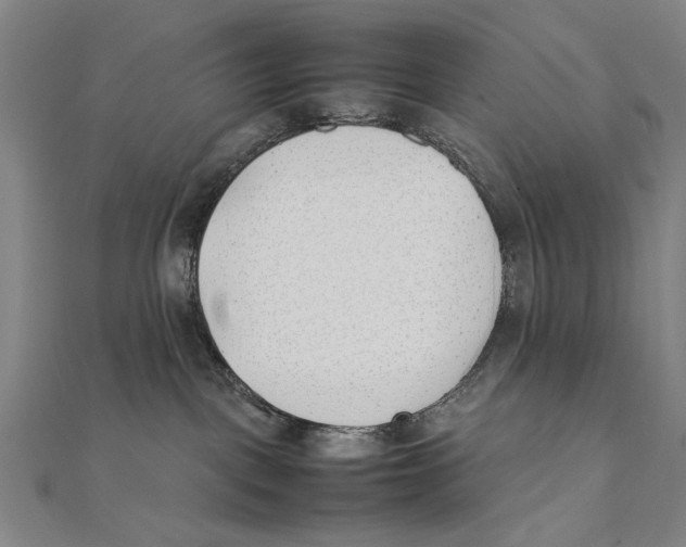 X0000111490093200908111234