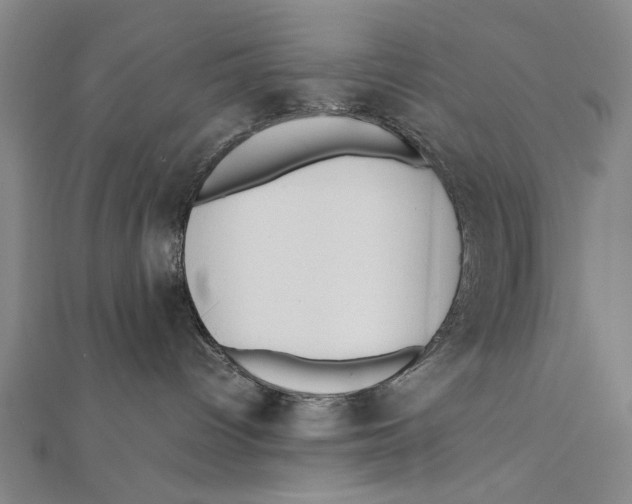 X0000111490096200908111234