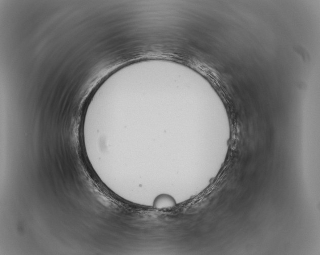 X0000111490098200908111233