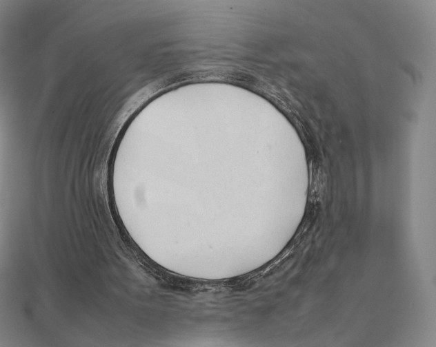 X0000111490099200908111233