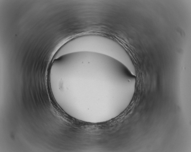 X0000111490100200908111233