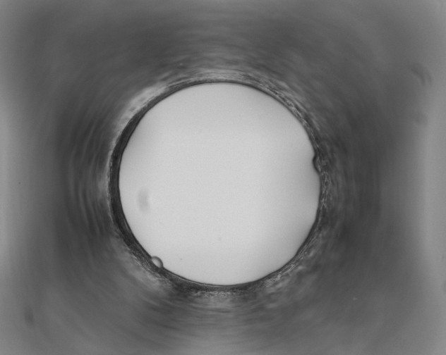 X0000111490104200908111233