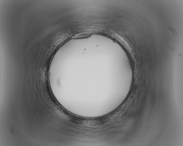 X0000111490105200908111233