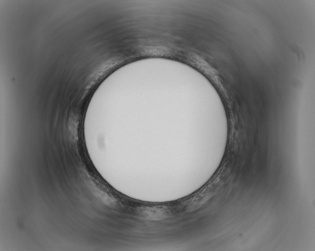 X0000111490106200908111233