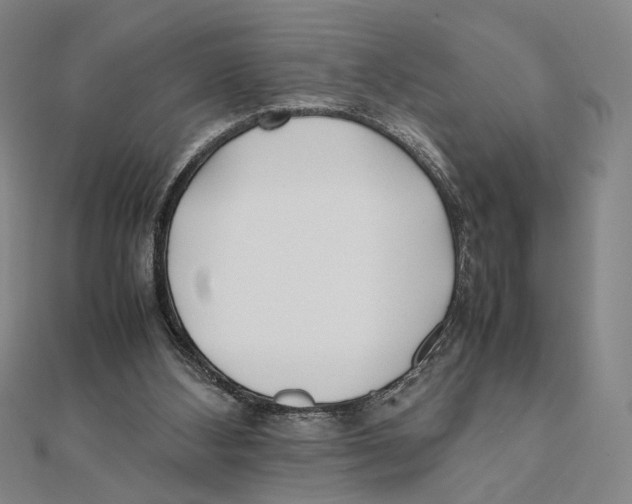 X0000111490108200908111233