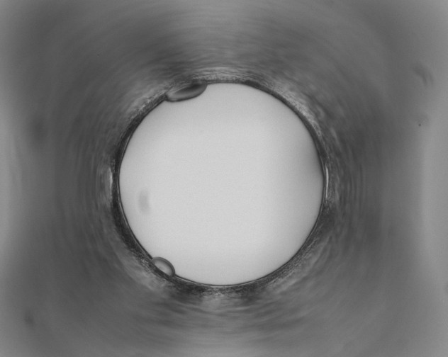 X0000111490109200908111233