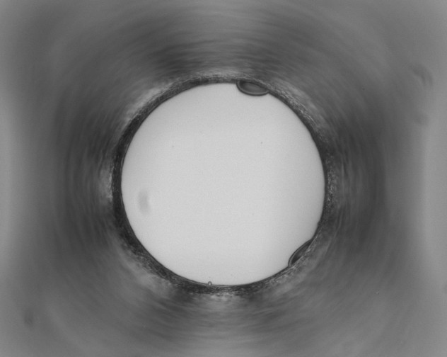 X0000111490112200908111233