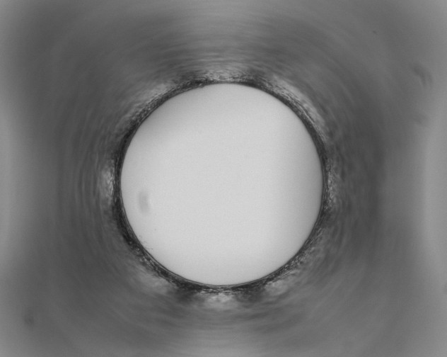 X0000111490113200908111233