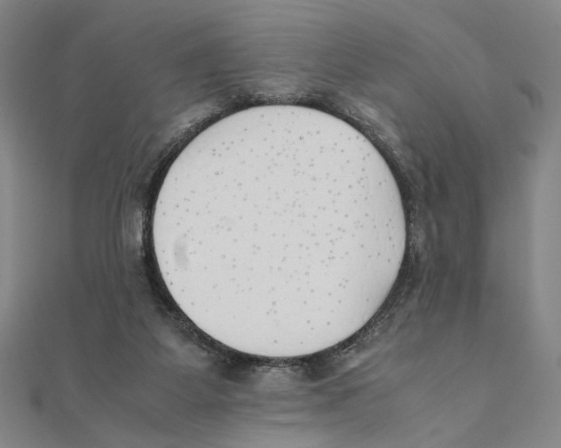 X0000111490115200908111233