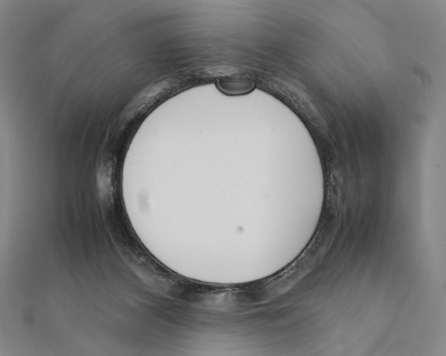 X0000111490116200908111233