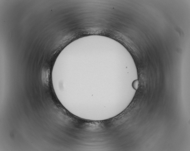 X0000111490118200908111233
