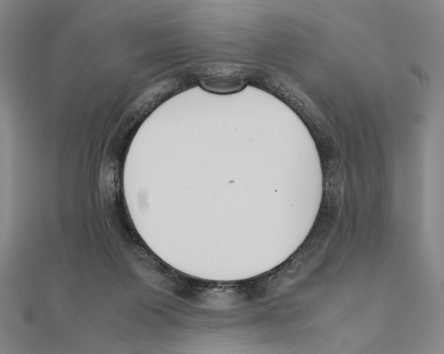 X0000111490119200908111233