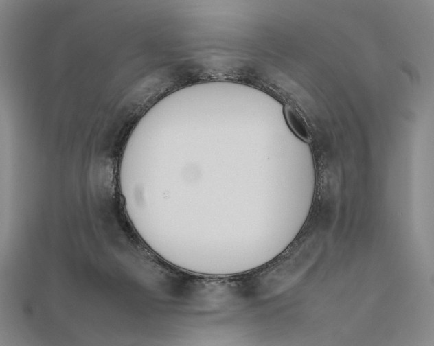 X0000111490121200908111233