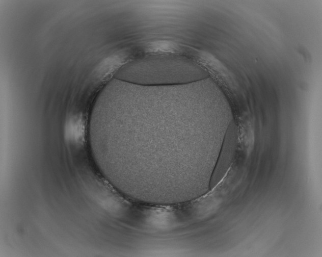 X0000111490124200908111232