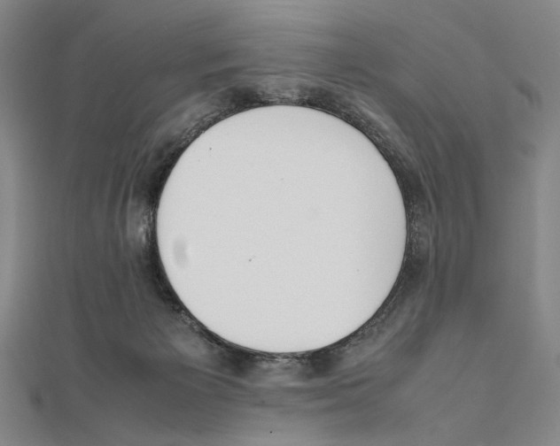 X0000111490125200908111232