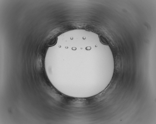X0000111490128200908111232