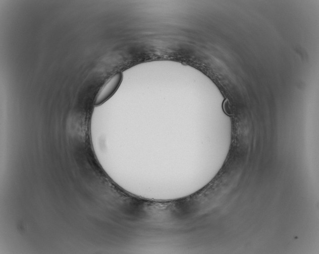 X0000111490129200908111232