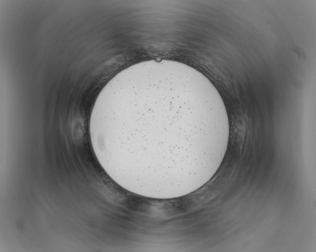 X0000111490130200908111232
