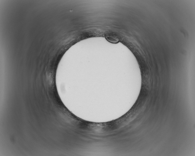 X0000111490131200908111232