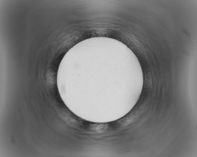 X0000111490135200908111232