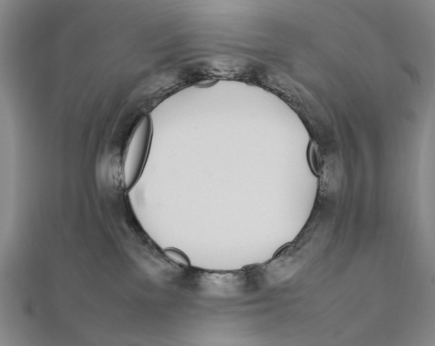 X0000111490137200908111232