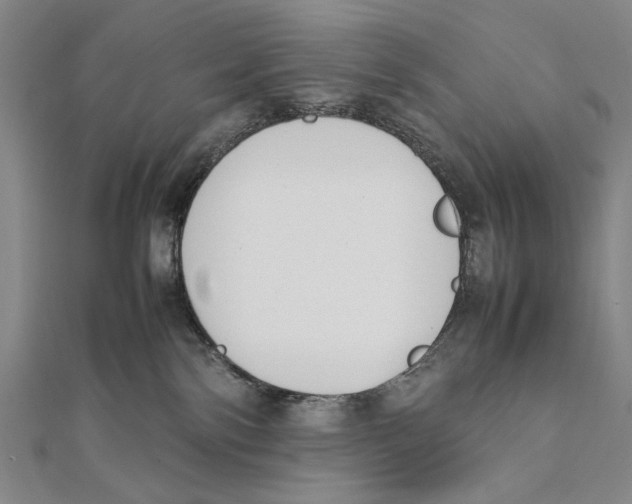 X0000111490138200908111232
