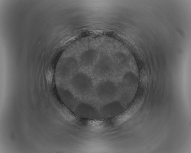 X0000111490139200908111232