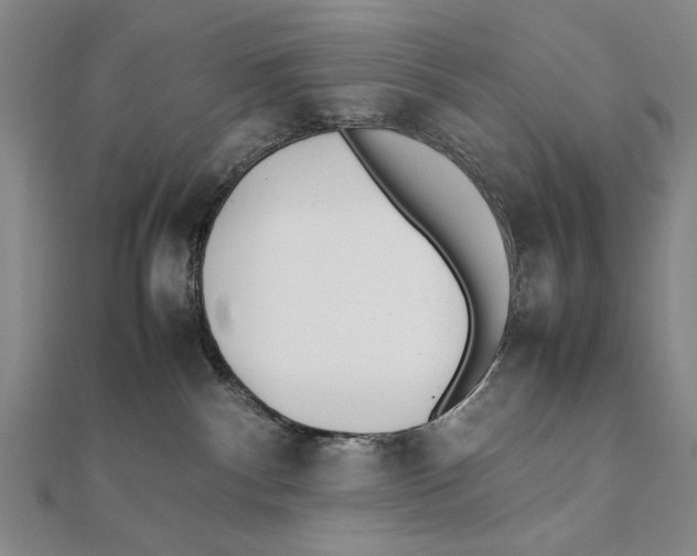 X0000111490140200908111232
