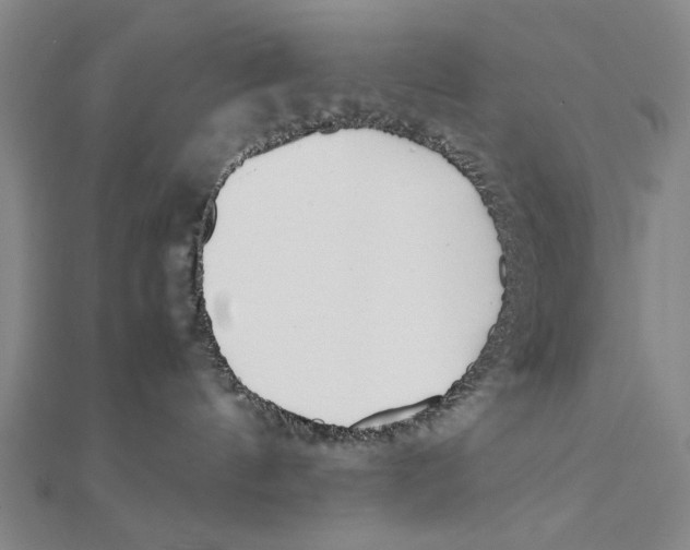 X0000111490144200908111232