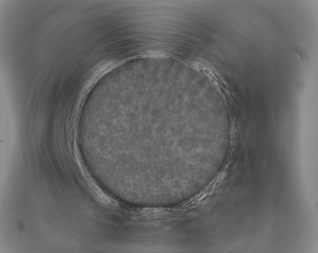 X0000111490145200908111231
