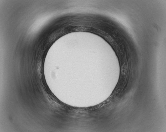 X0000111490146200908111231