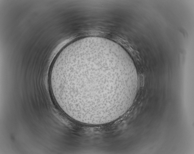 X0000111490147200908111231