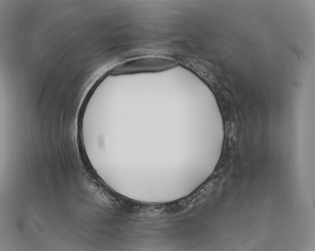 X0000111490148200908111231